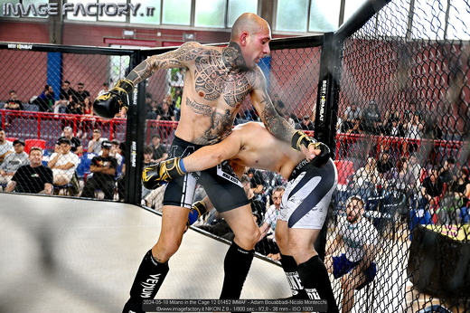 2024-05-18 Milano in the Cage 12 01452 IMMAF - Adam Bouabbadi-Nicolo Montecchi
